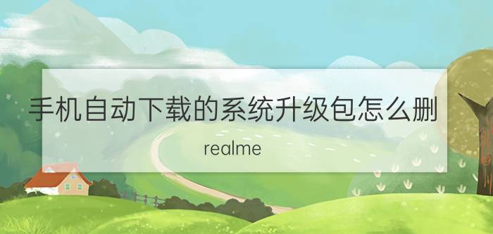 手机自动下载的系统升级包怎么删 realme gt noe2怎么删除系统更新包？